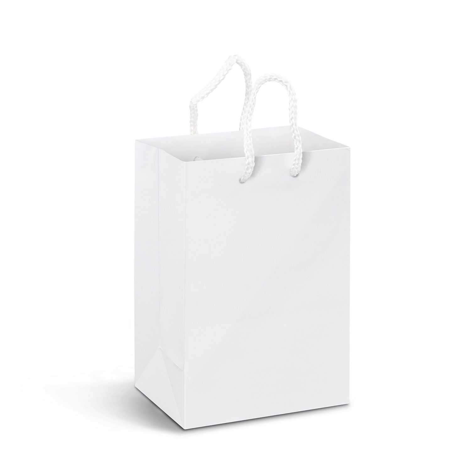 Small Laminated Paper Carry Bag - Full Colour - Image 2