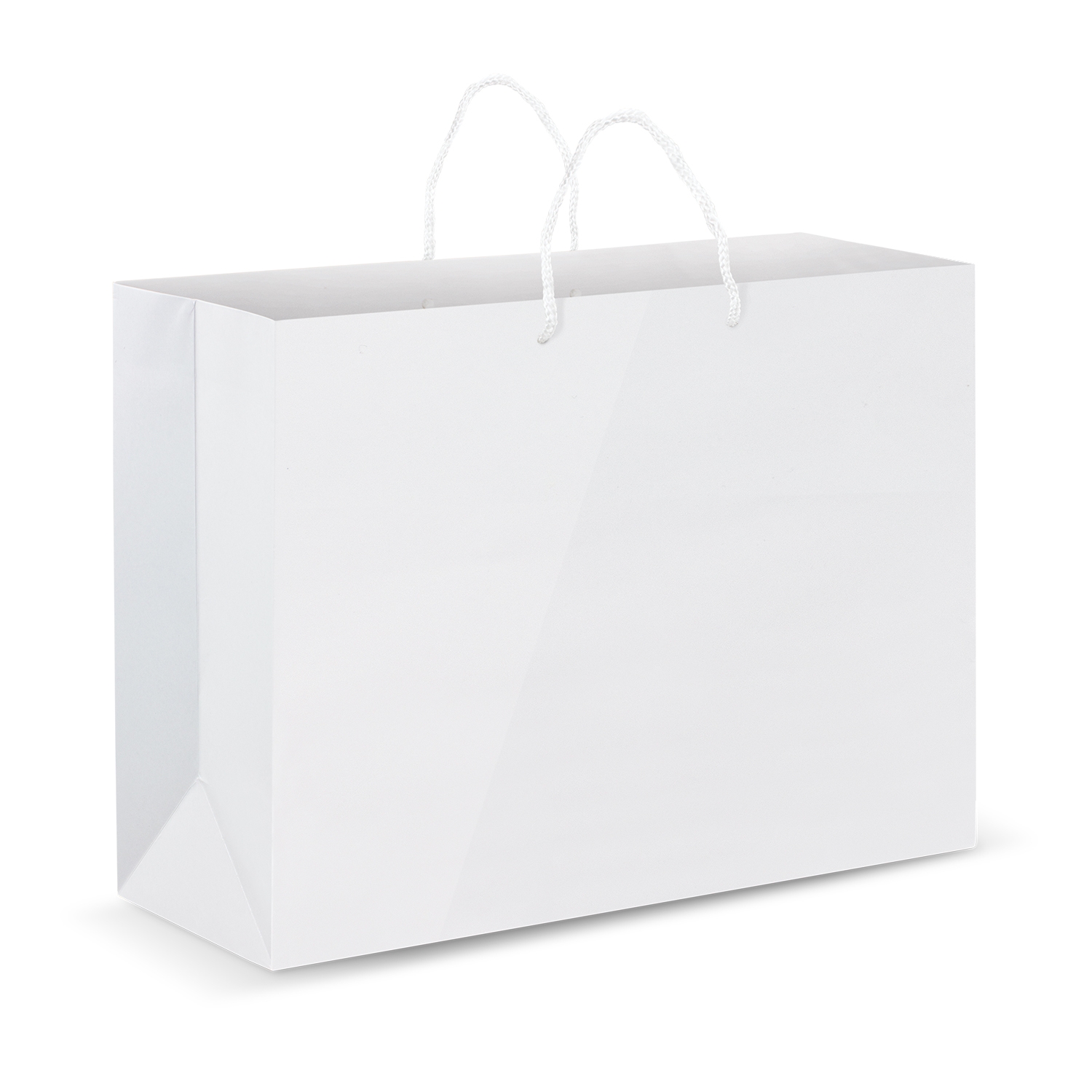 Extra Large Laminated Paper Carry Bag - Full Colour - Image 2