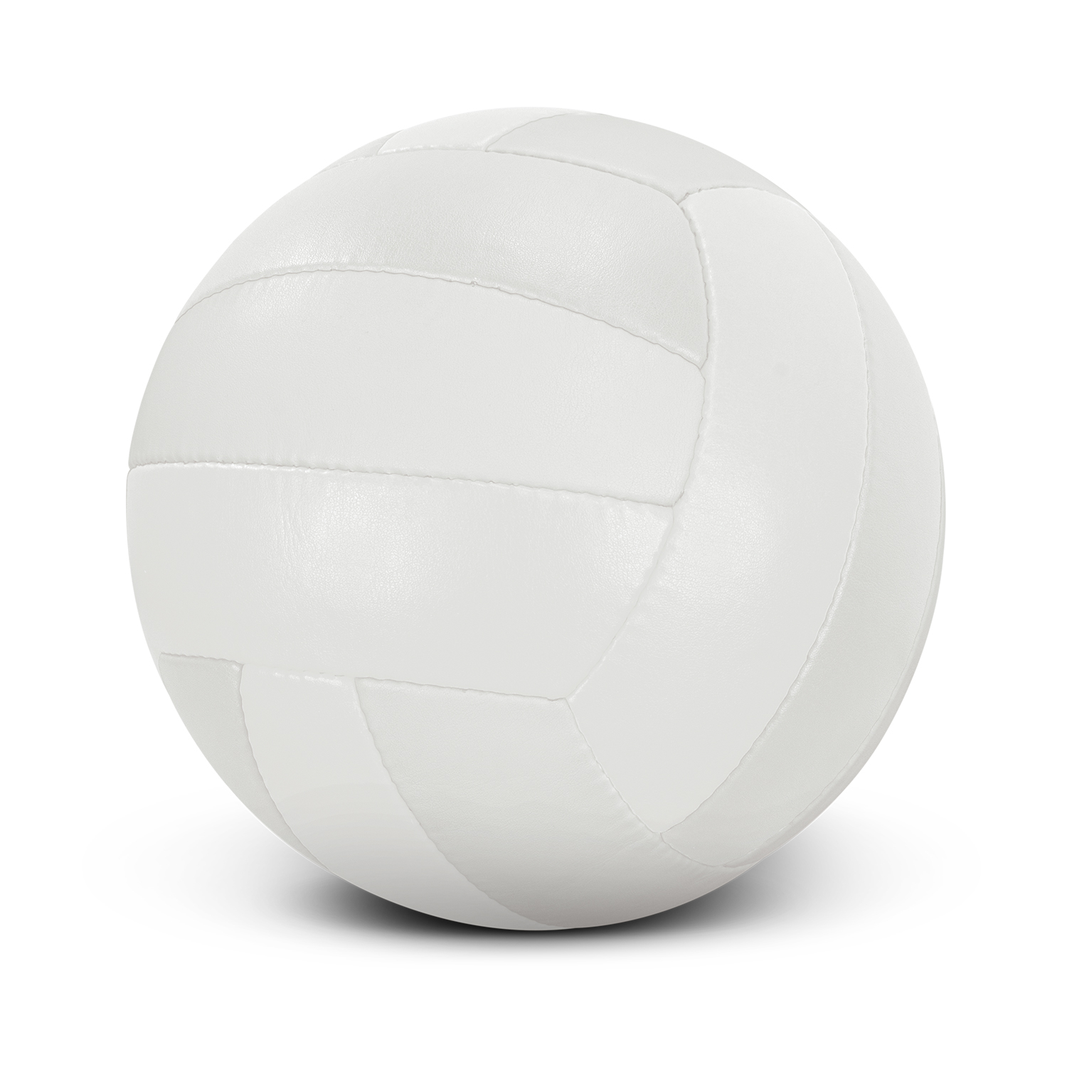 Volleyball Pro - Image 2