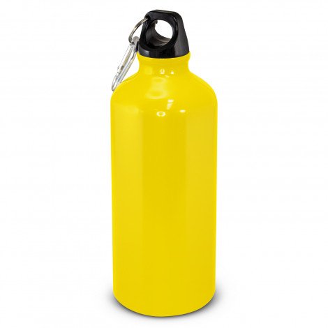Intrepid Bottle - 600ml - Image 4
