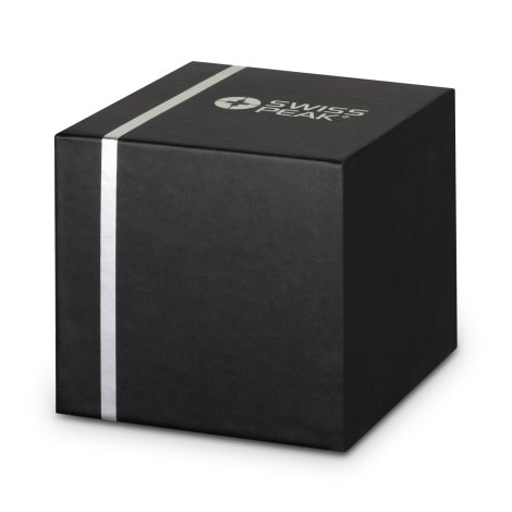 Swiss Peak Bass Speaker - Image 4