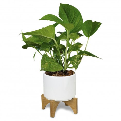 Planter with Bamboo Base - Image 4
