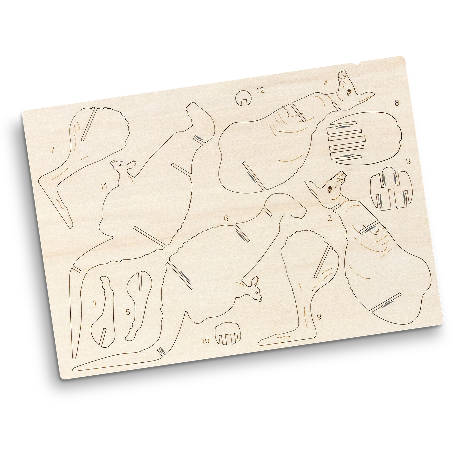 BRANDCRAFT Kangaroo Wooden Model - Image 3