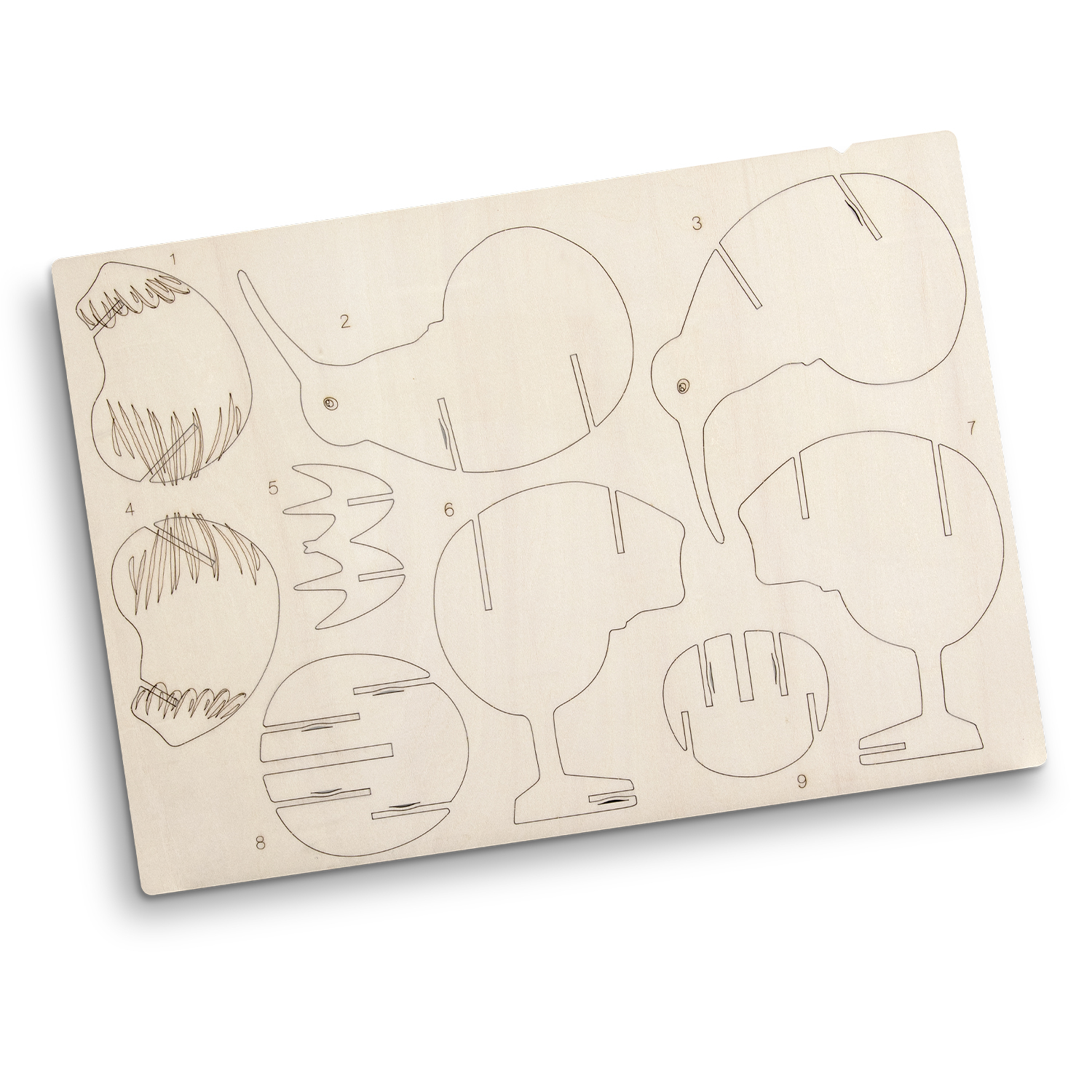 BRANDCRAFT Kiwi Wooden Model - Image 4