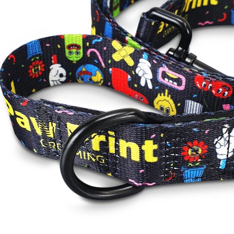 Amigo Dog Leash - Image 4