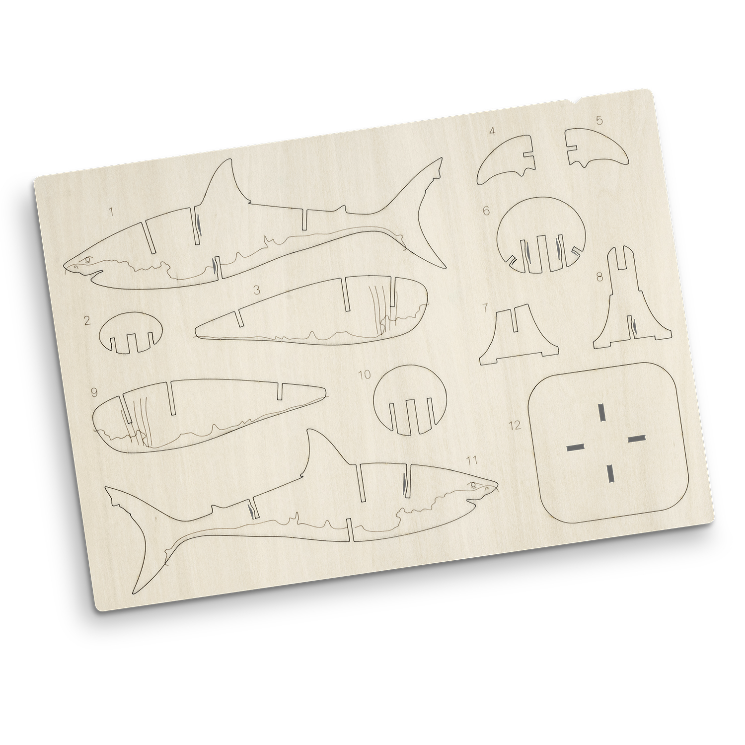 BRANDCRAFT Shark Wooden Model - Image 4