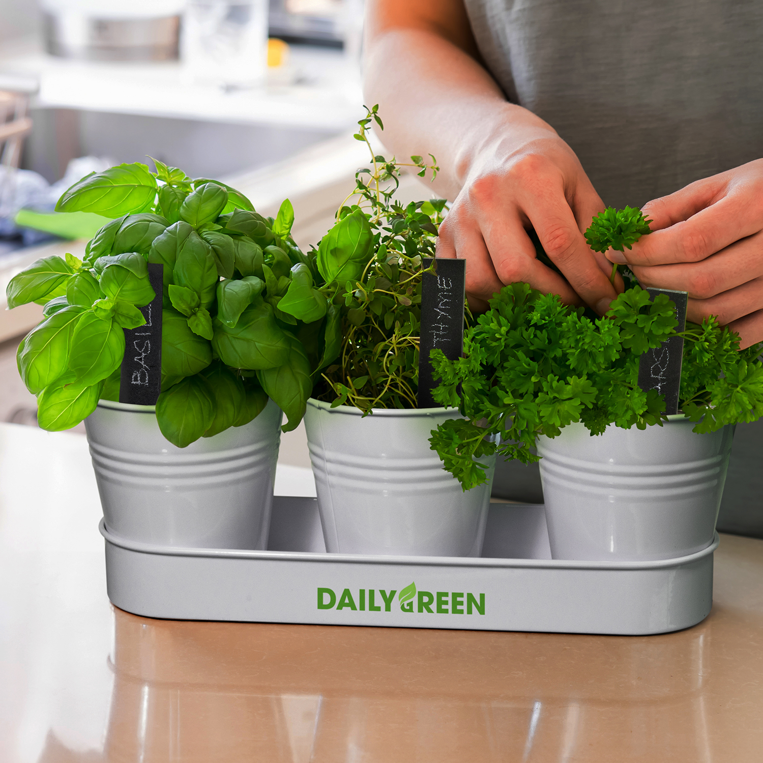 Keepsake Herb Planter - Image 4