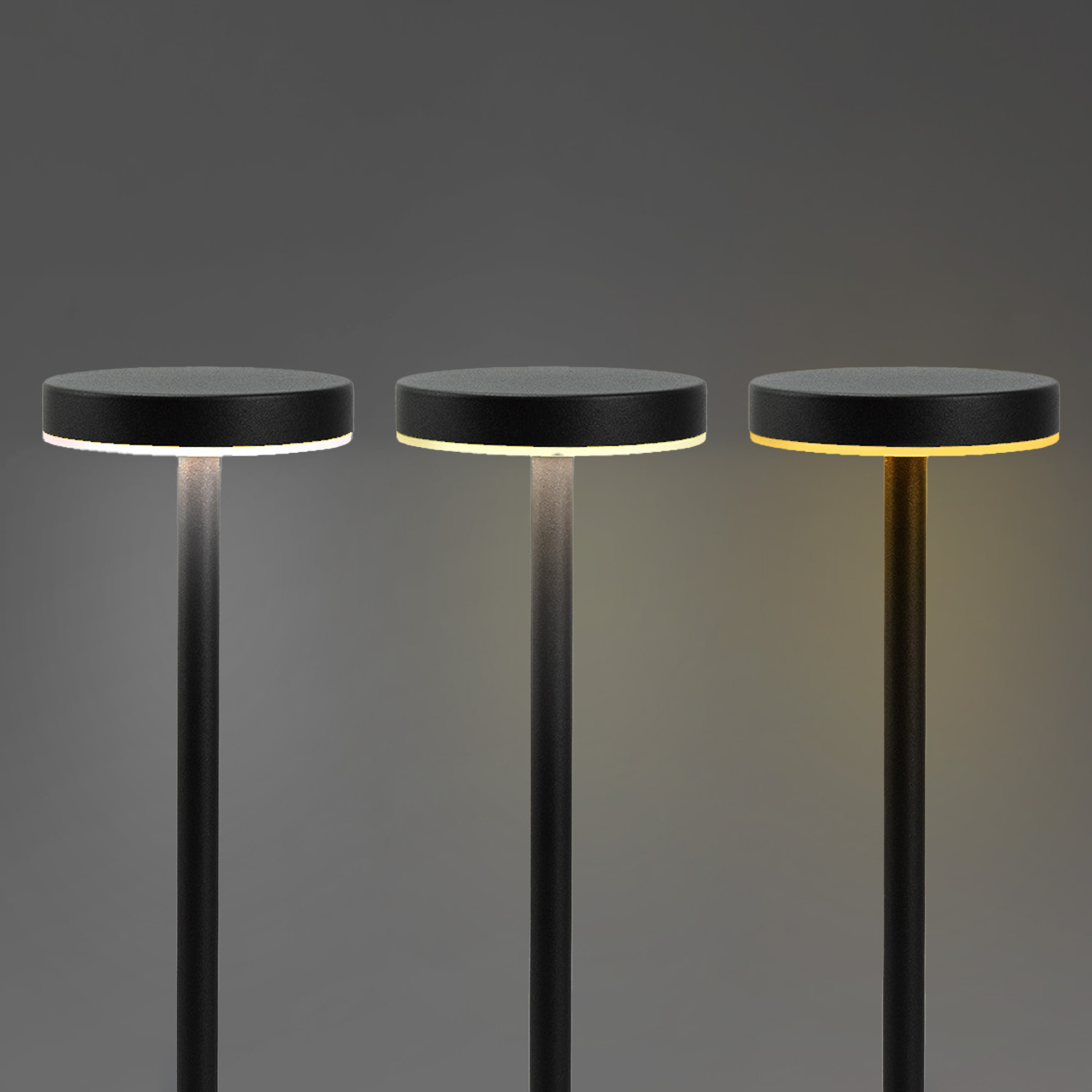 Nouveau Rechargeable Table Lamp - Image 6