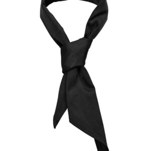 JB's CHEFS SCARF NAVY/WHITE