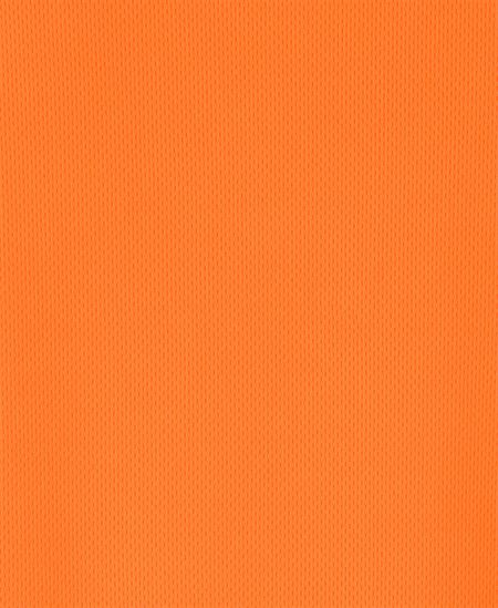 JB'S HI VIS L/S NSW/QLD RAIL BIOMOTION X-BACK POLO - Image 4