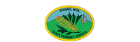 Chapel Hill State School